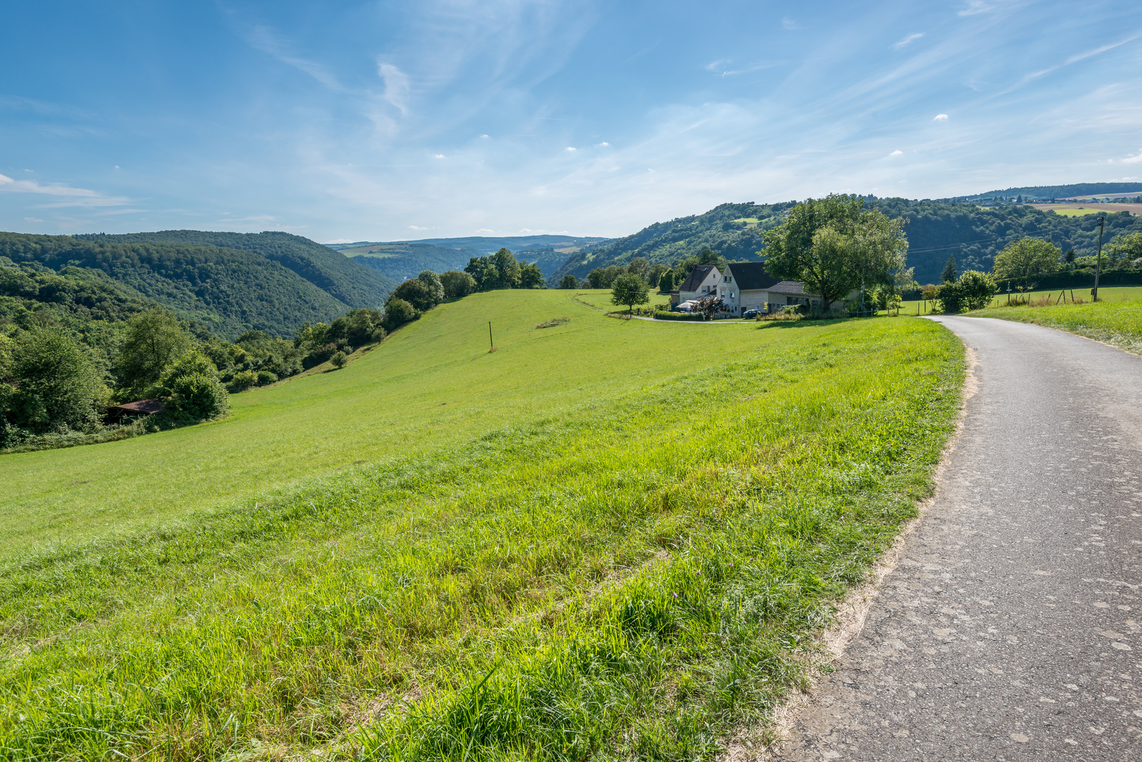 Wiesenlandschaft beim Spitznack 91