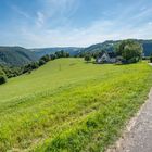 Wiesenlandschaft beim Spitznack 91