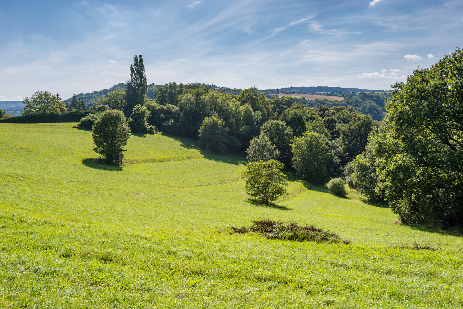 Wiesenlandschaft beim Spitznack 94