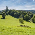 Wiesenlandschaft beim Spitznack 94