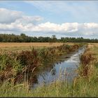 Wiesenlandschaft