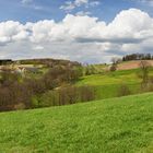 Wiesenlandschaft im Frühling