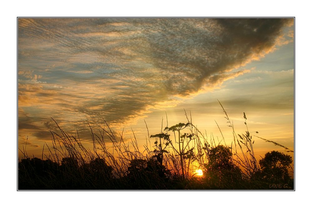 Wiesenlicht