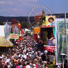 Wiesenmarkt