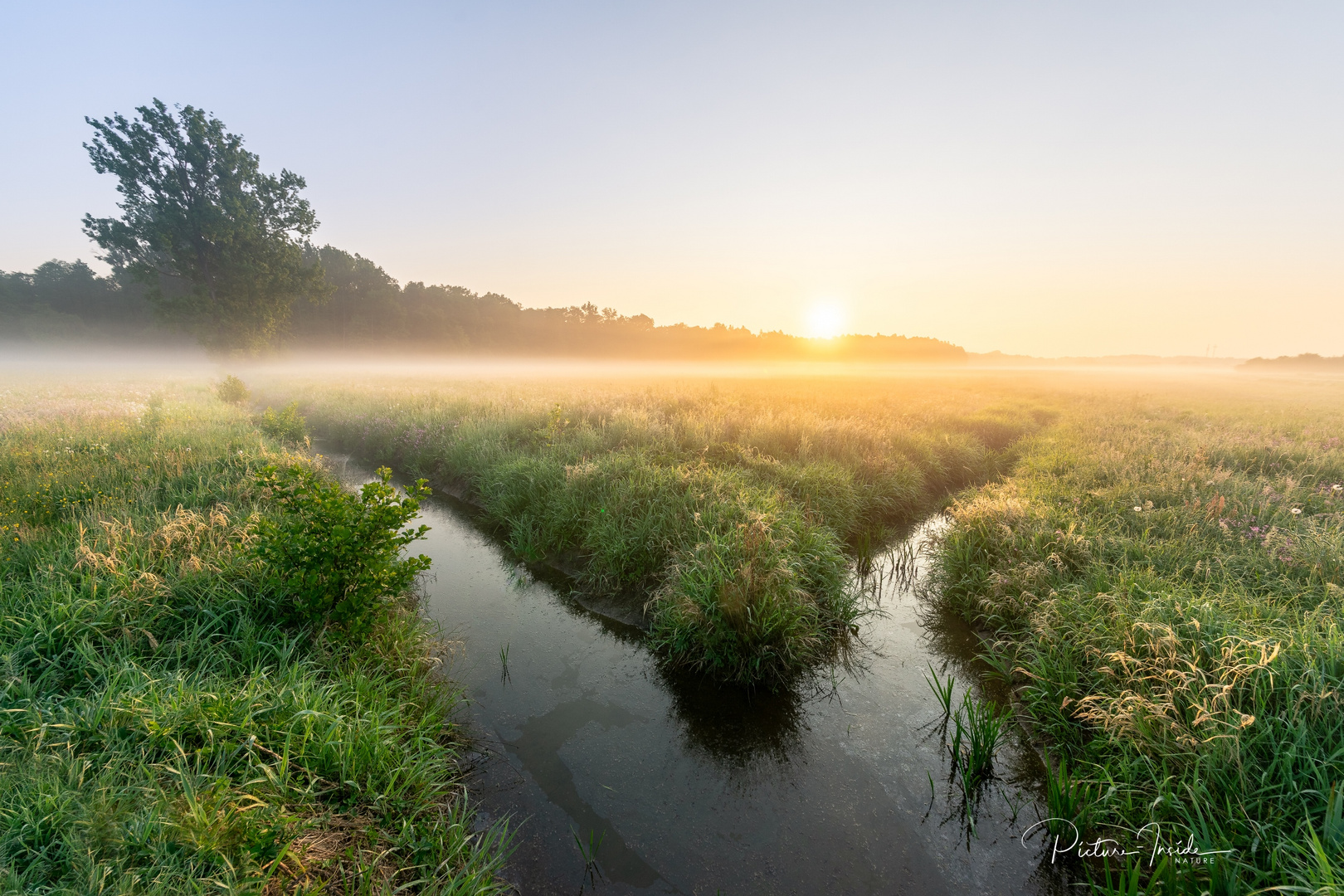 Wiesen:Nebel