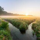 Wiesen:Nebel