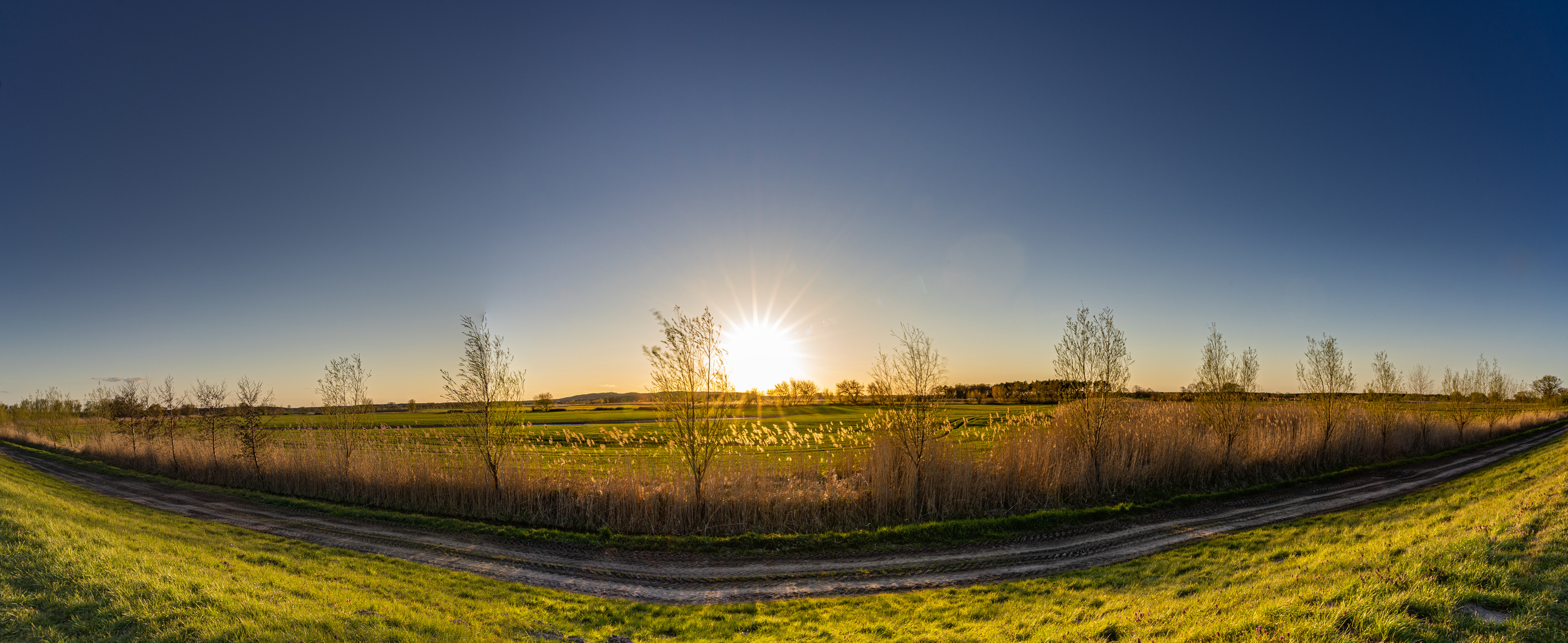 Wiesenpanorama