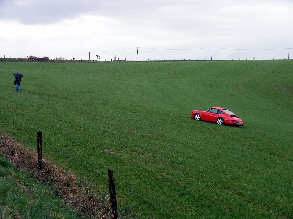 Wiesenporsche von Michael Andreas Heine 