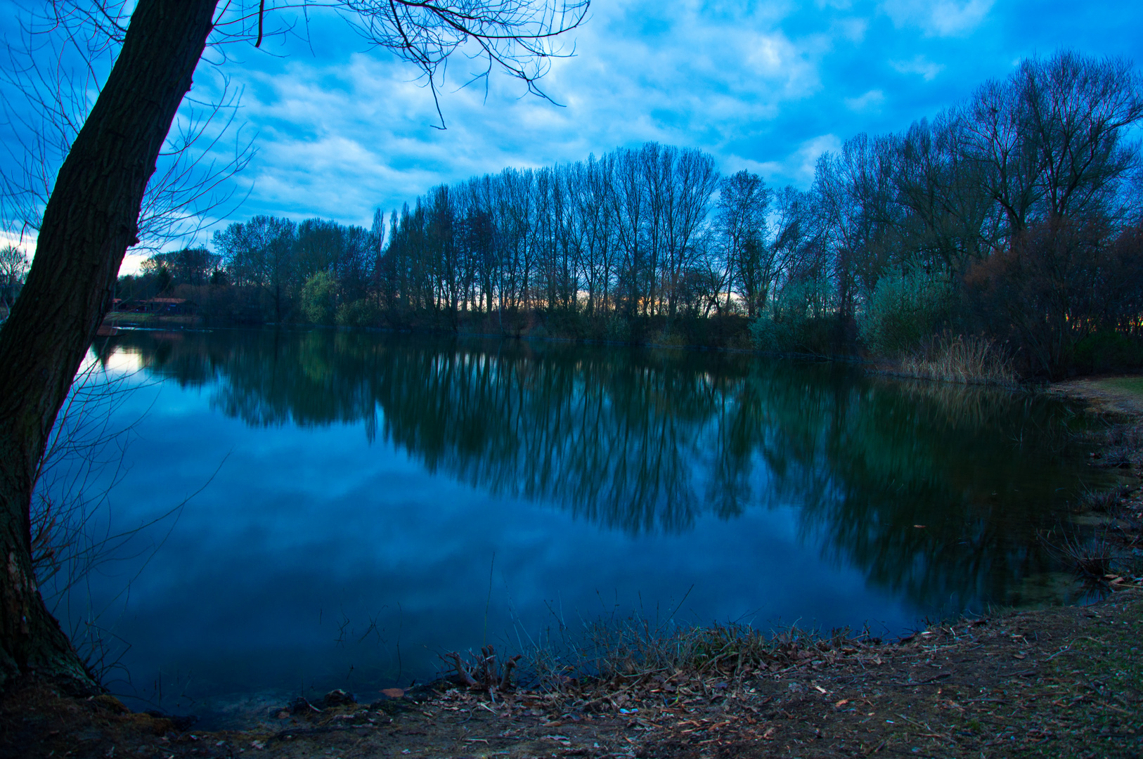 Wiesensee