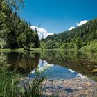 Wiesensee 