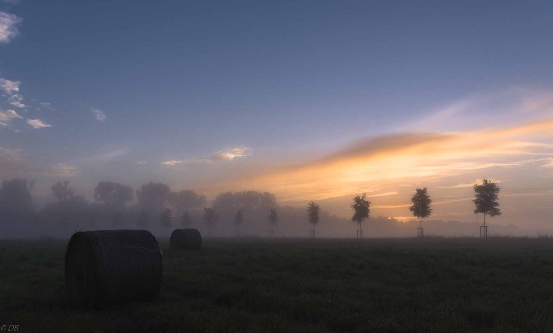 " Wiesenstimmung "