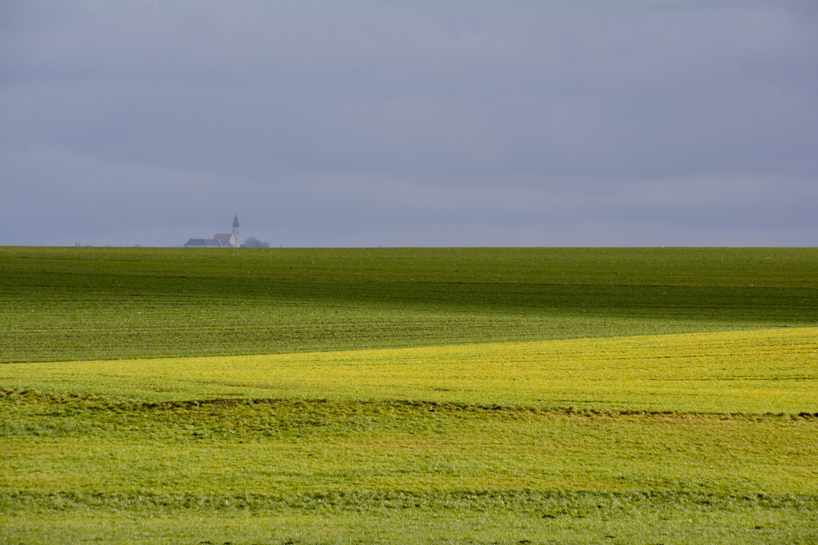 Wiesenstimmung