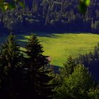 Wiesenstrukturen