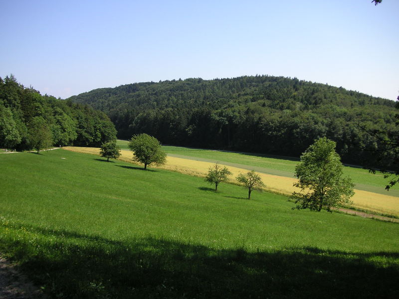 Wiesentäli Blick retour