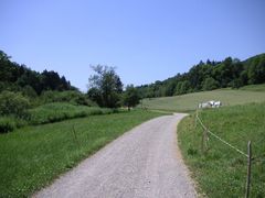 Wiesentäli Ein kleines Paradies