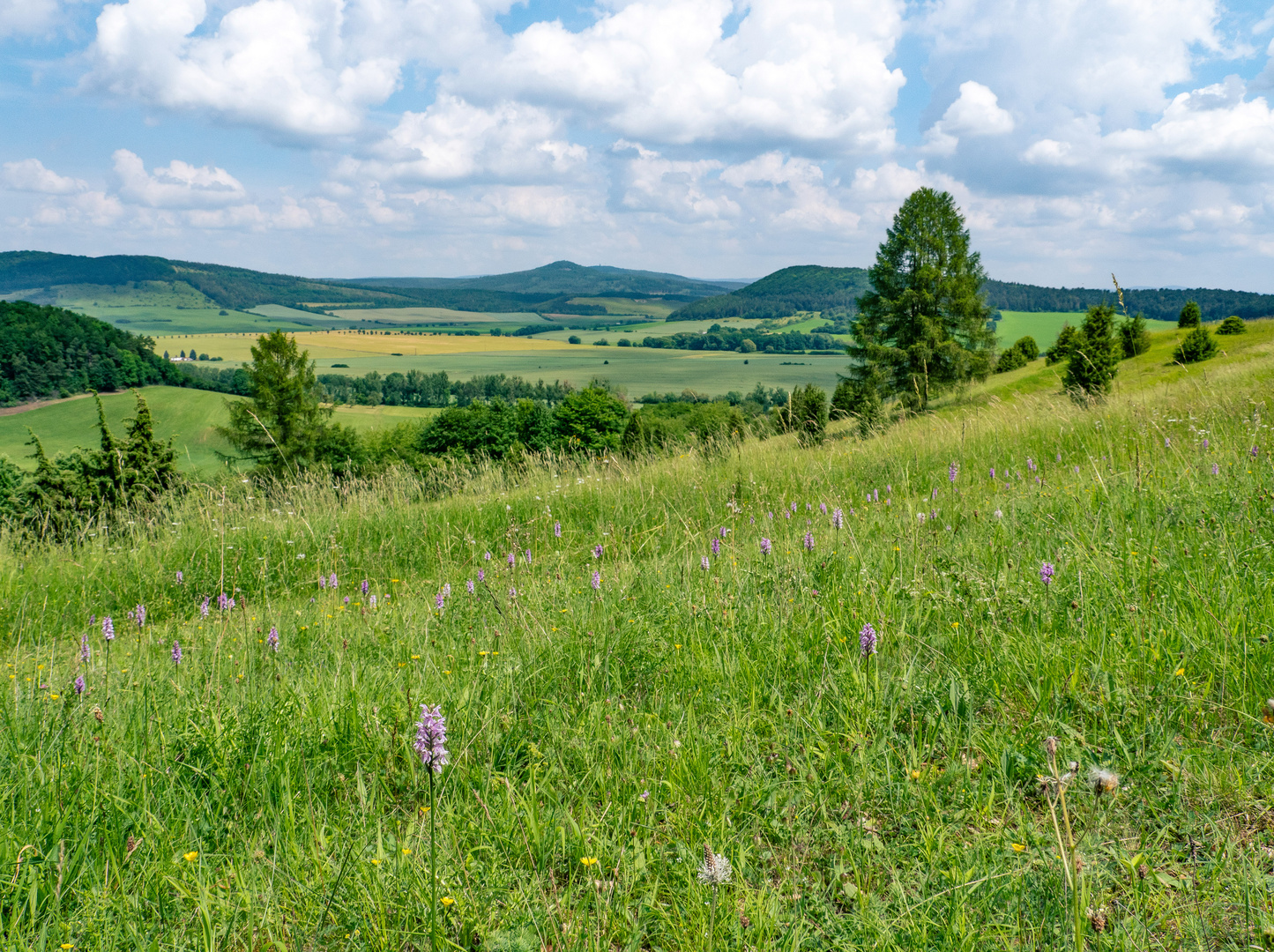 Wiesenthaler Schweiz - Rhön ist schön!