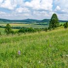 Wiesenthaler Schweiz - Rhön ist schön!