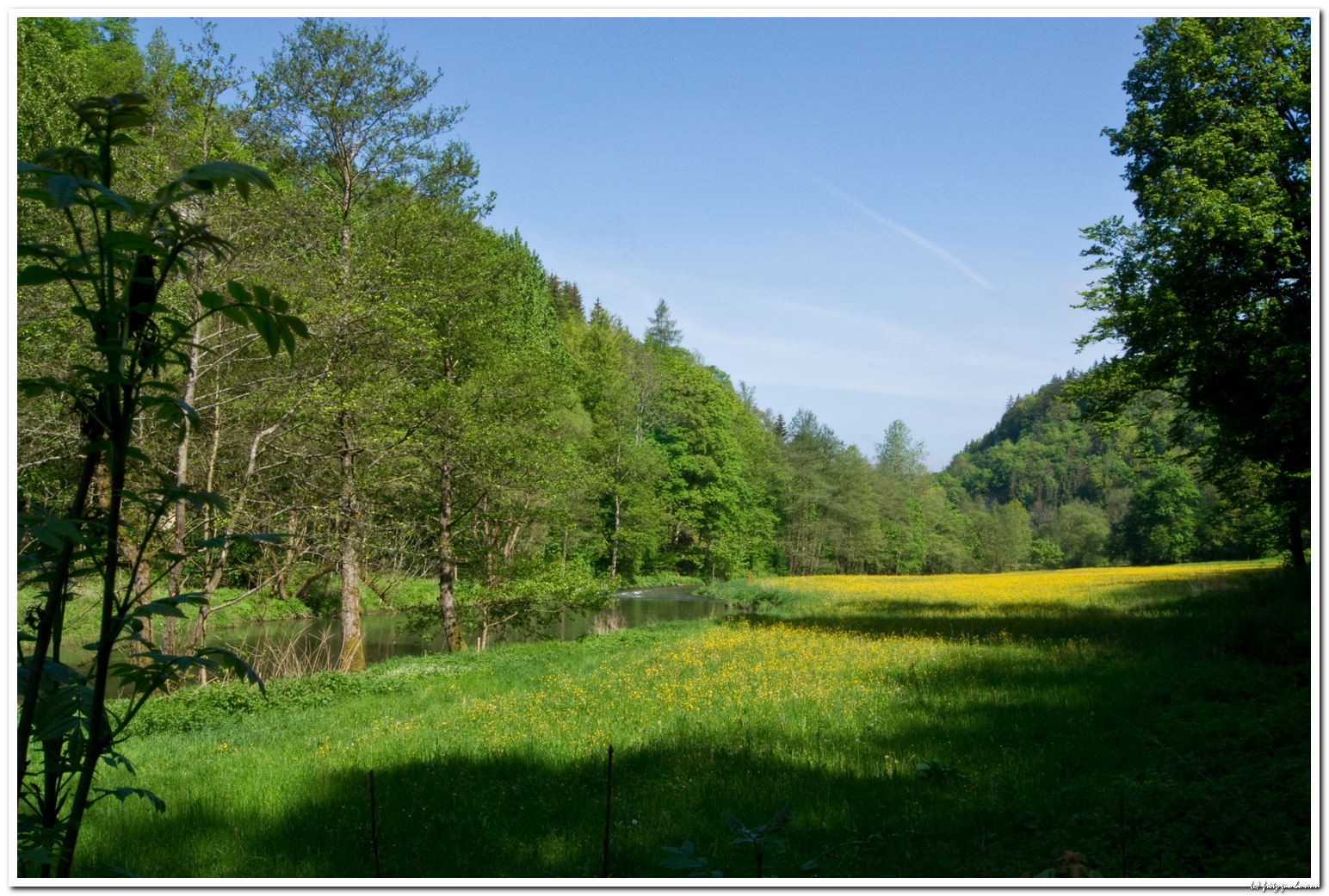 Wiesenttal