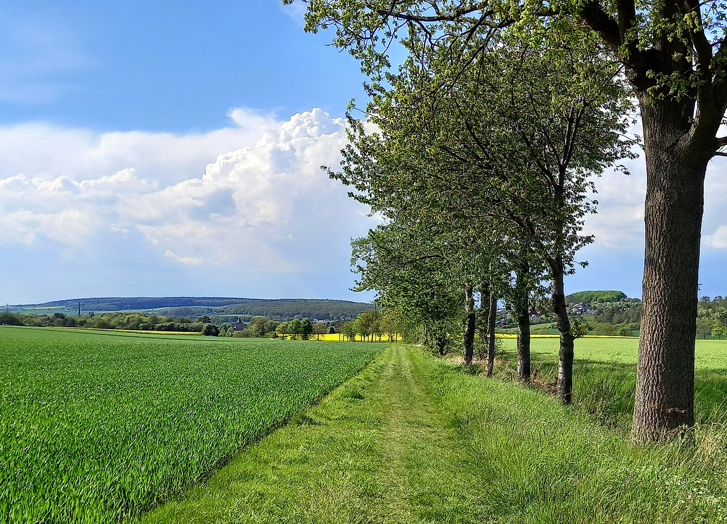 Wiesenweg -2-