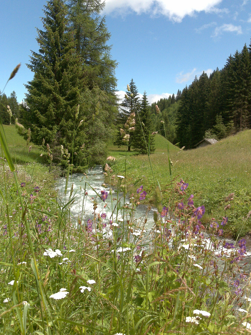 Wiesenweg