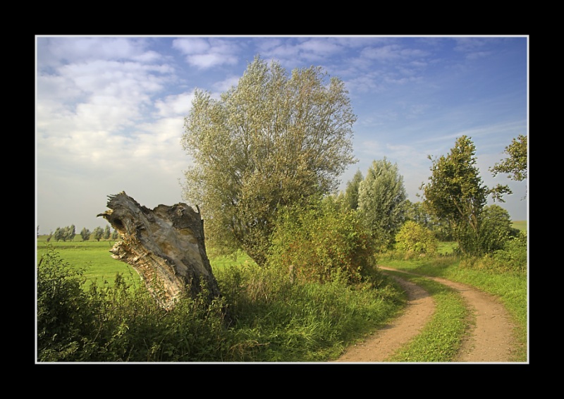 Wiesenweg