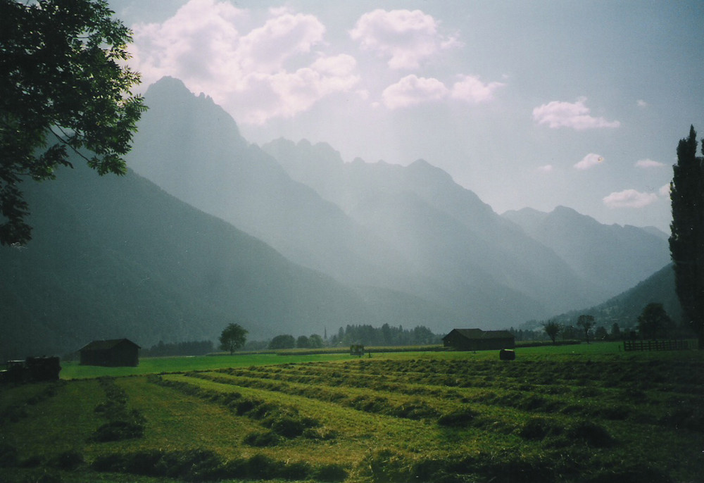 Wiesenweg Amlach - Lienz Heuernte