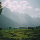 Wiesenweg Amlach - Lienz Heuernte