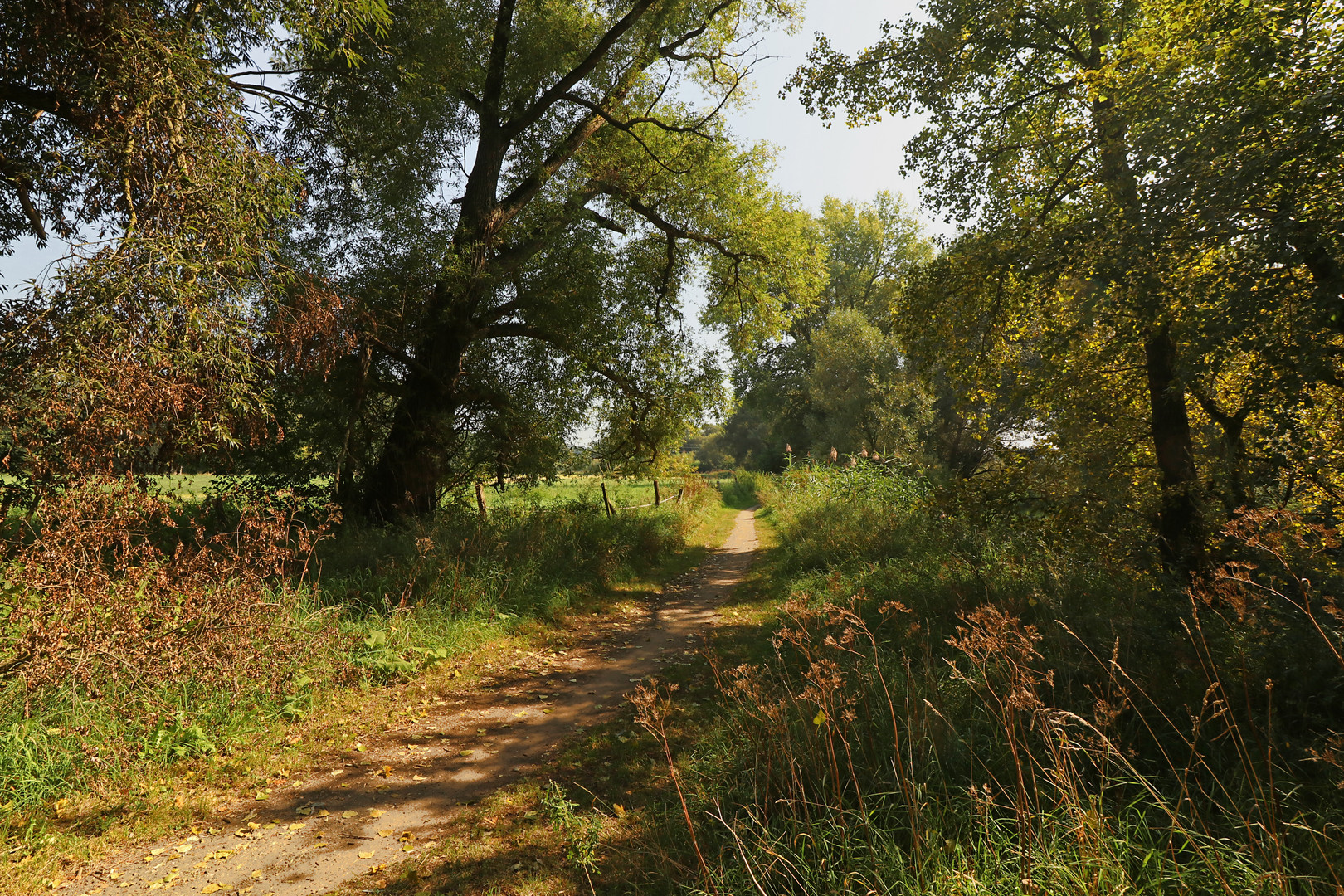 Wiesenweg im Herbst