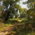 Wiesenweg im Herbst