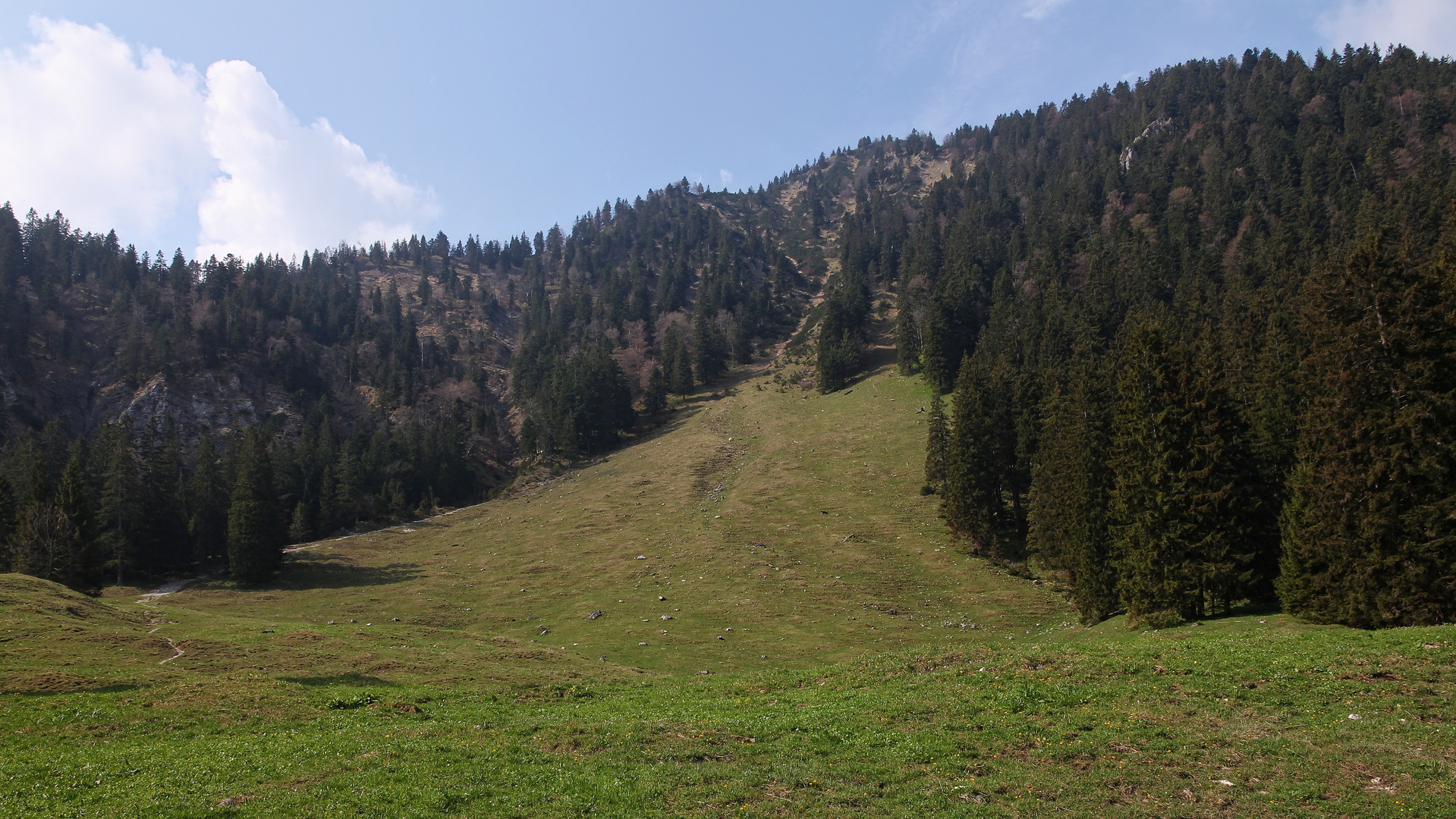 Wiesenweg zum Rabenkopf (0302_ji)