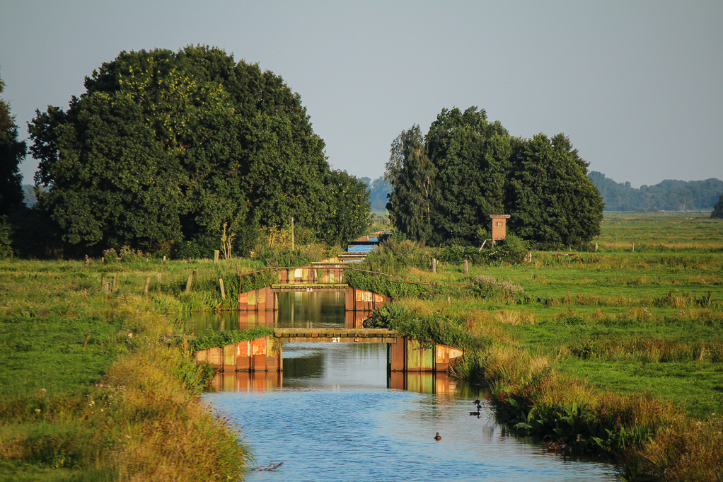 Wiesenwehre im Bremer Blockland