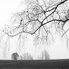 Wiesenwelt mit Deko