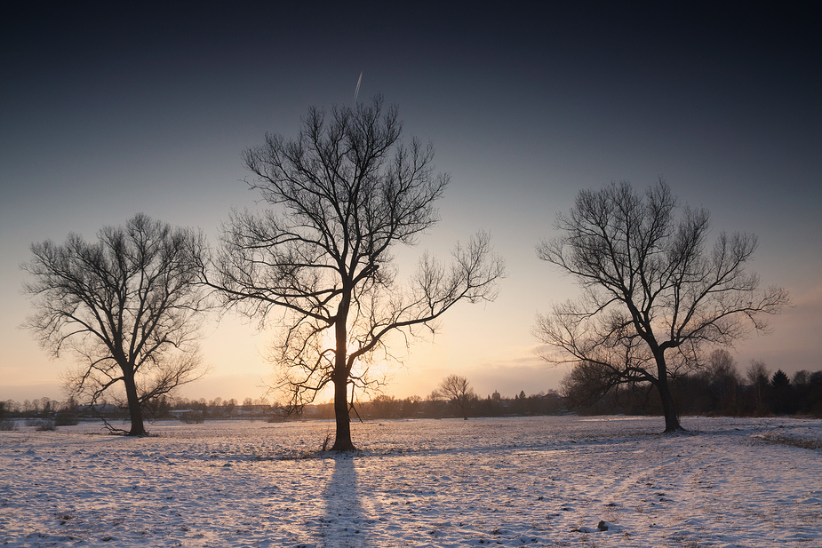 Wiesenwinter