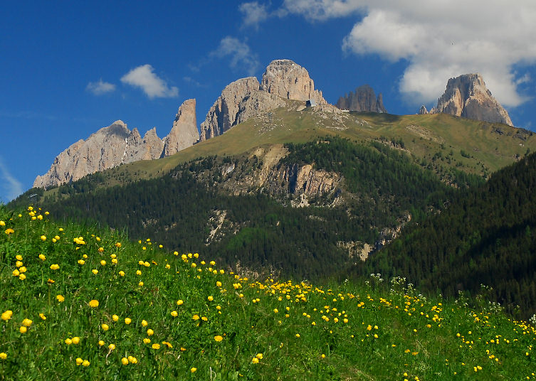 Wiese+Rosengarten