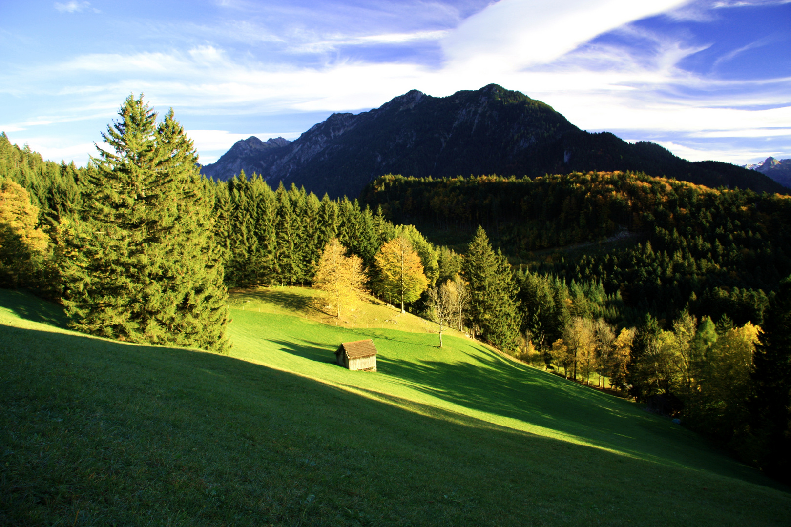 Wiese,Wald und Berg im Herbst.