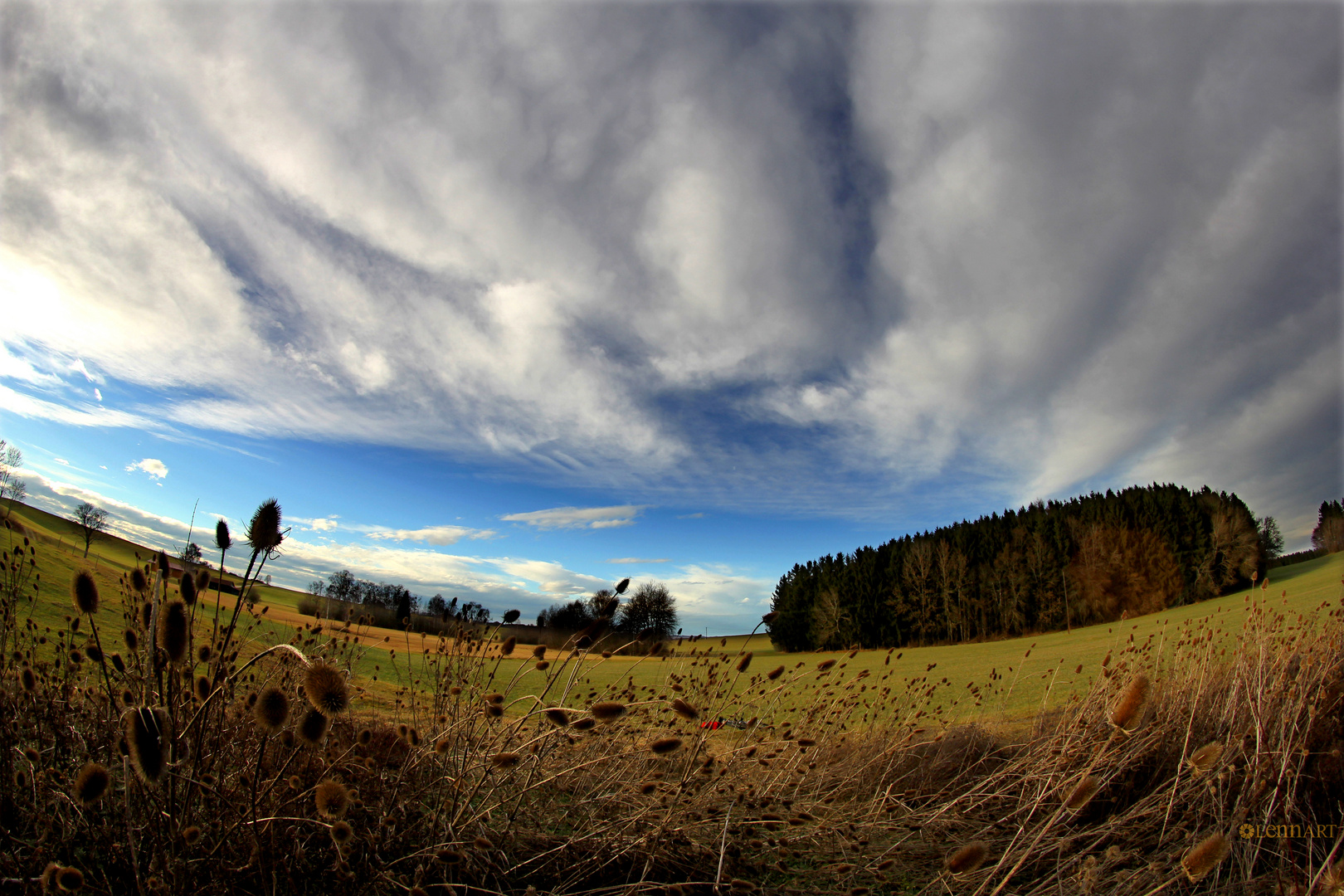 Wiese/Wald/Himmel