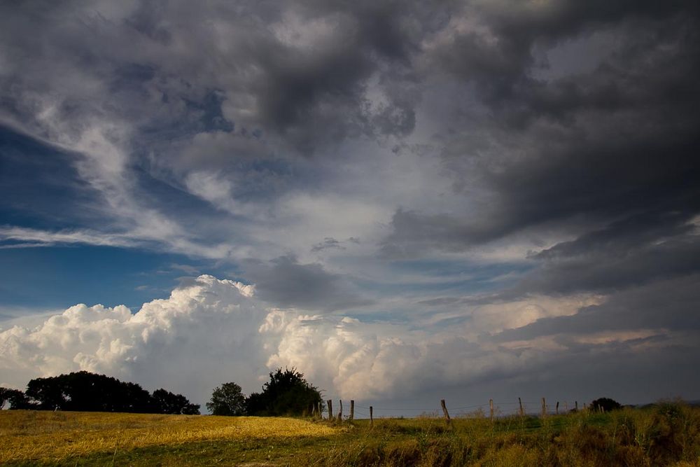 Wiese,Zaun Bäume, Wolken...