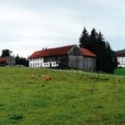 Wieskirche in Steingaden - allgäu bayern