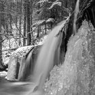 Wieslaufschlucht 2016