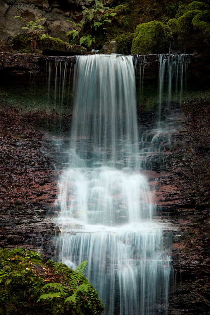 Wieslaufschlucht