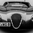 Wiesmann