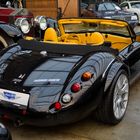 Wiesmann