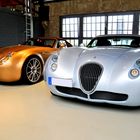 WIESMANN