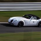 Wiesmann