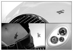 Wiesmann GT Collage