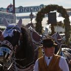 Wiesn 2014 - mei war des schee