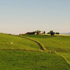 Wiesn, Hof, Viecher, Berge