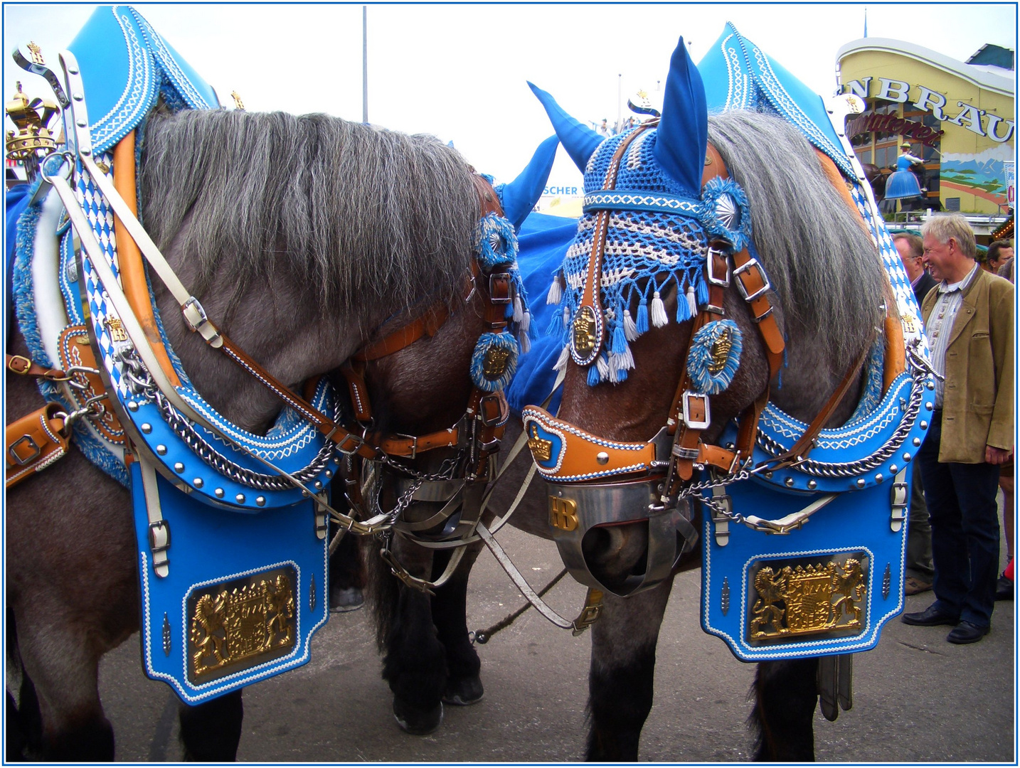 Wiesn,  woaßt scho !!