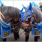 Wiesn,  woaßt scho !!