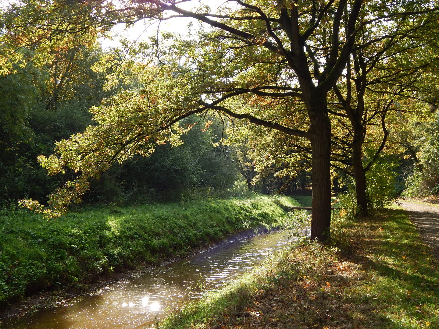 Wietze in der Herbstmittagssonne